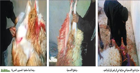 اضغط على الصورة لرؤيتها بالحجم الطبيعي