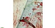 عاملة منزلية تطعن فتاة وتحاول نحر والدتها بينبع