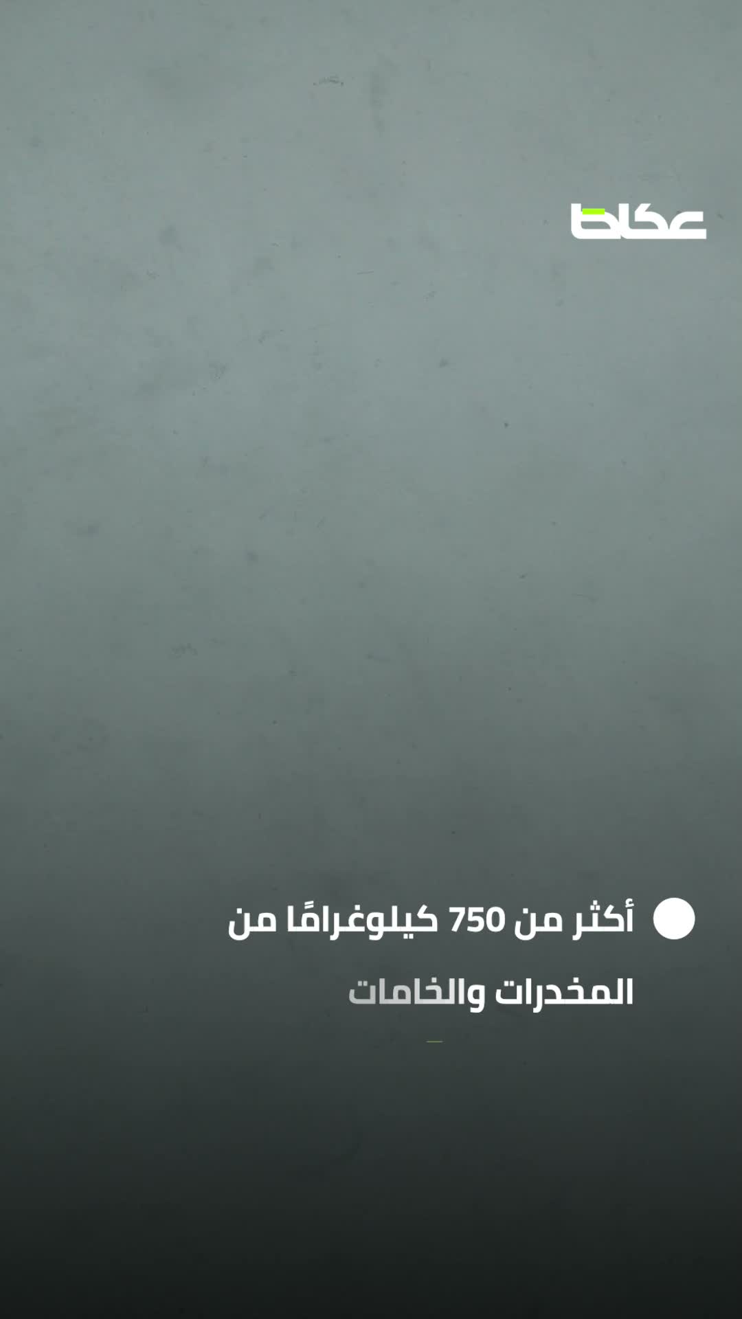 من الشاشة إلى حبل المشنقة.. كيف وصلت سارة خليفة إلى الإعدام؟