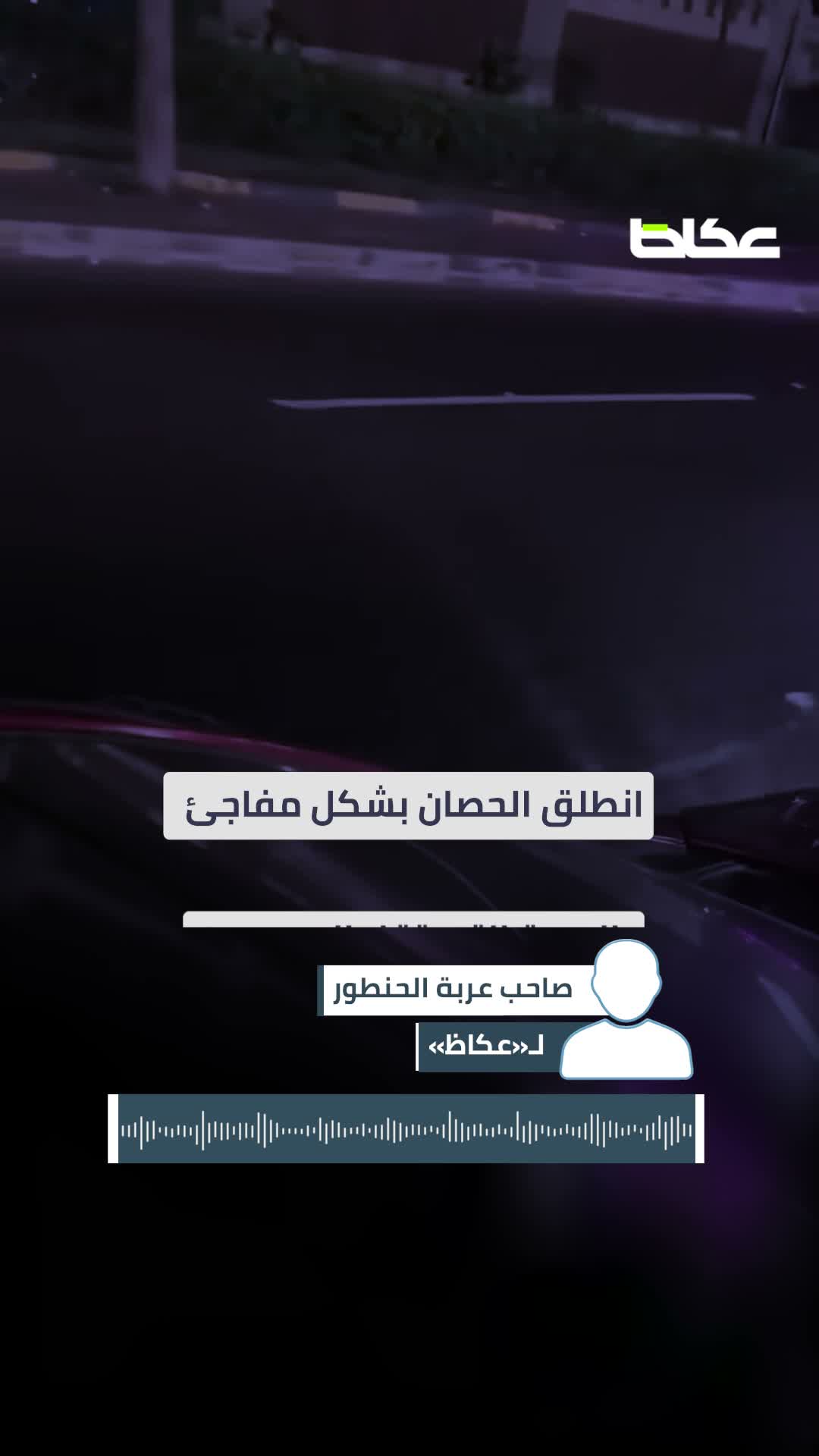 هروب حصان يحوّل زفّة عروسين بالإسكندرية إلى مطاردة تنتهي بانقلاب «الحنطور»!