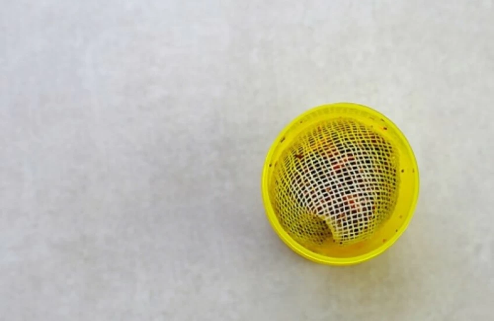 الإمارات: سحب منتج تايلندي من الأسواق بسبب «تلوث ميكروبي»