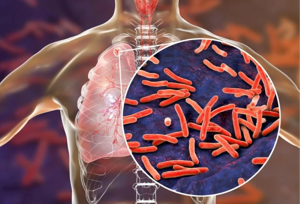 مشروع الحياة.. العلماء يطاردون «القاتل الصامت» في معركةٍ لإنقاذ البشرية