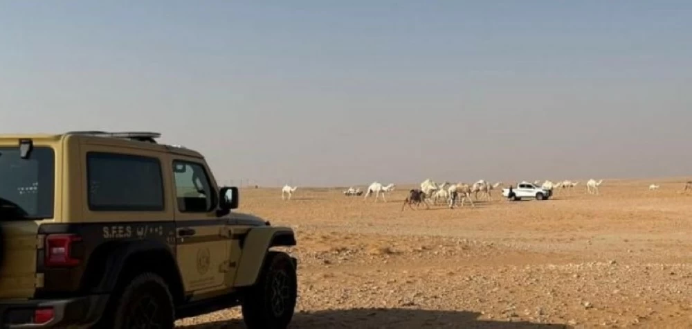 «الأمن البيئي» تضبط مخالفاً لنظام البيئة لارتكابه مخالفة رعي في محمية