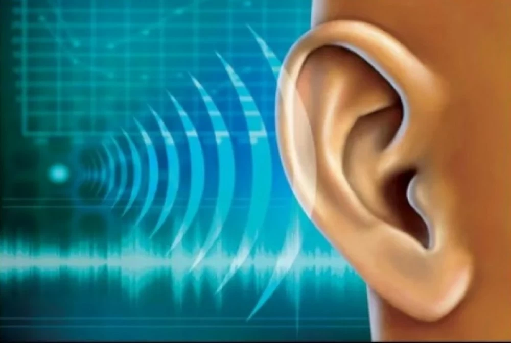 دراسة: ضعف الذكاء يحدّ من القدرة على تمييز الكلام وسط الضوضاء – أخبار السعودية دراسة: ضعف الذكاء يحدّ من القدرة على تمييز الكلام وسط الضوضاء – أخبار السعودية