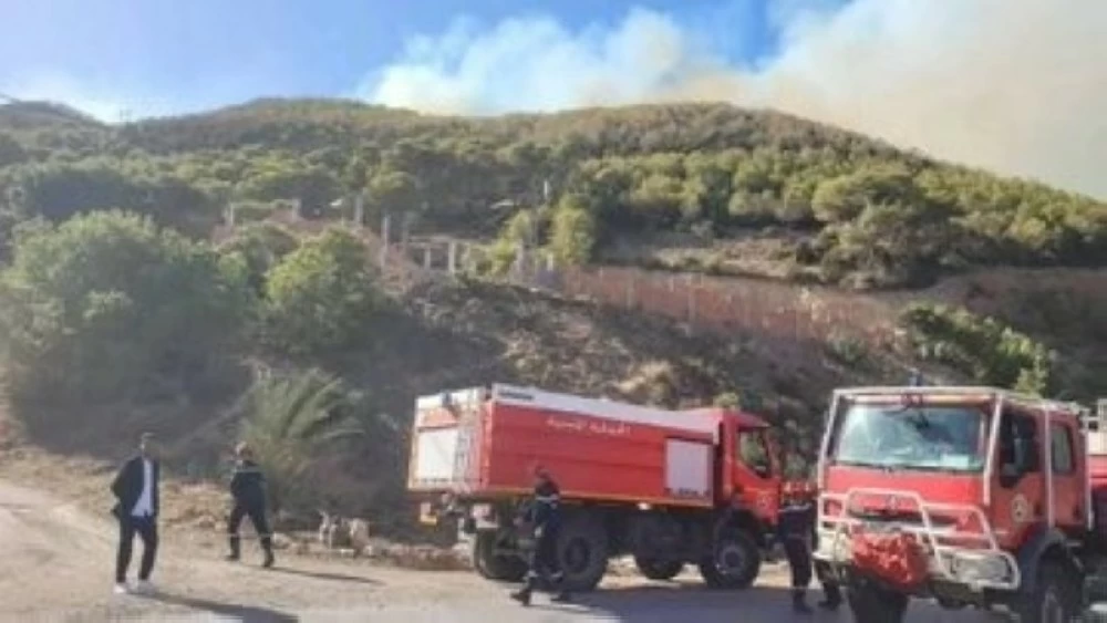 موجة نيران غير مسبوقة.. الجزائر تكافح لإنقاذ غاباتها من الدمار المناخي