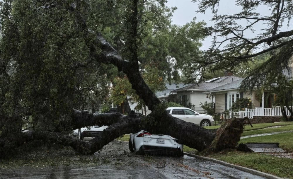 سقوط أشجار جراء عاصفة قوية ضربت جنوبي ولاية كاليفورنيا.