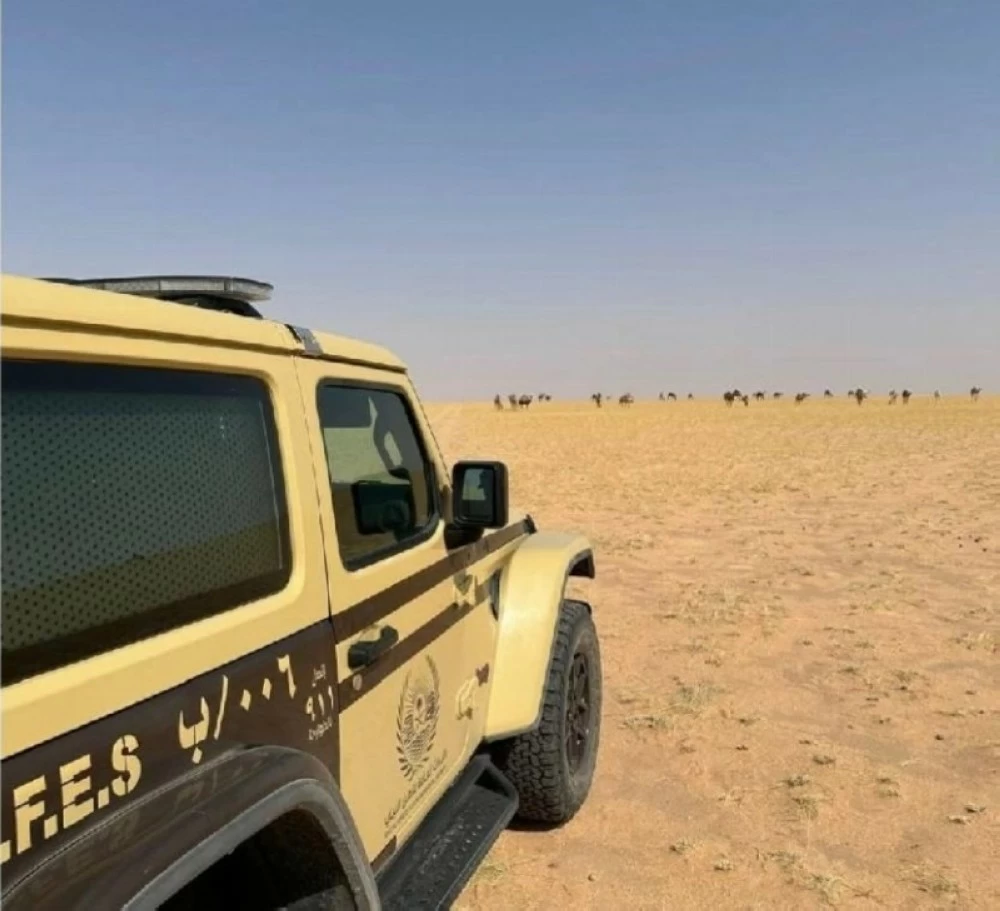 ضبط مواطن مخالف لنظام البيئة لارتكابه مخالفة رعي في محمية الملك عبدالعزيز الملكية