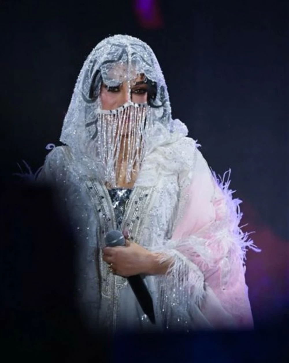 هيفاء وهبي في حفلتها بالرياض.