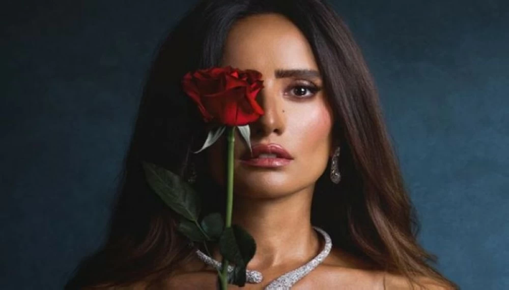 زينة في البوستر الدعائي لمسلسل ورد وشوكولاتة.