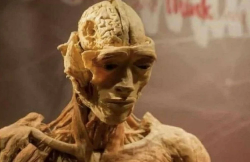 لغز جثة شاب أمريكي تُعرَض كـ«تمثال بلاستيكي» منذ 20 عاماً