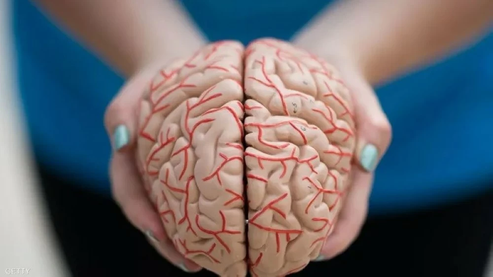 شيخوخة الدماغ