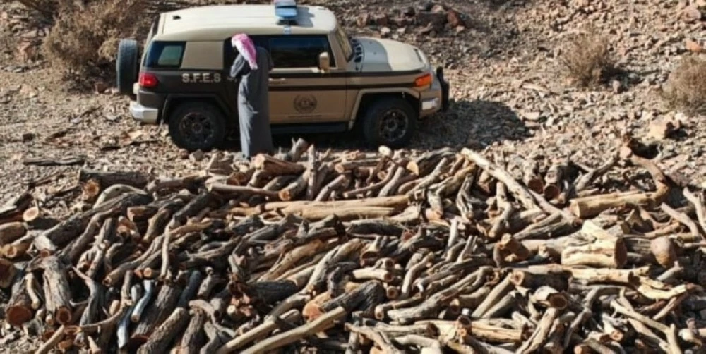 «الأمن البيئي» تضبط مخالفاً لنظام البيئة لتخزينه حطباً محلياً في المدينة المنورة