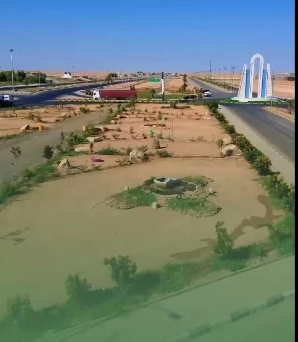 الحدود الشمالية تزدهر بـ 39 نوعاً من النباتات الملائمة للتشجير