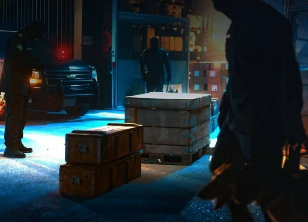 ضبط 1,253 حالة ممنوعات في «المنافذ»