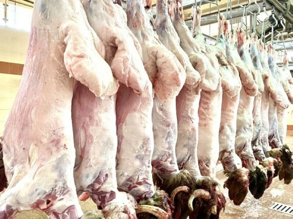 التحديث يسهم في تعزيز الصحة العامة وتهيئة بيئة حضرية آمنة ومنظمة