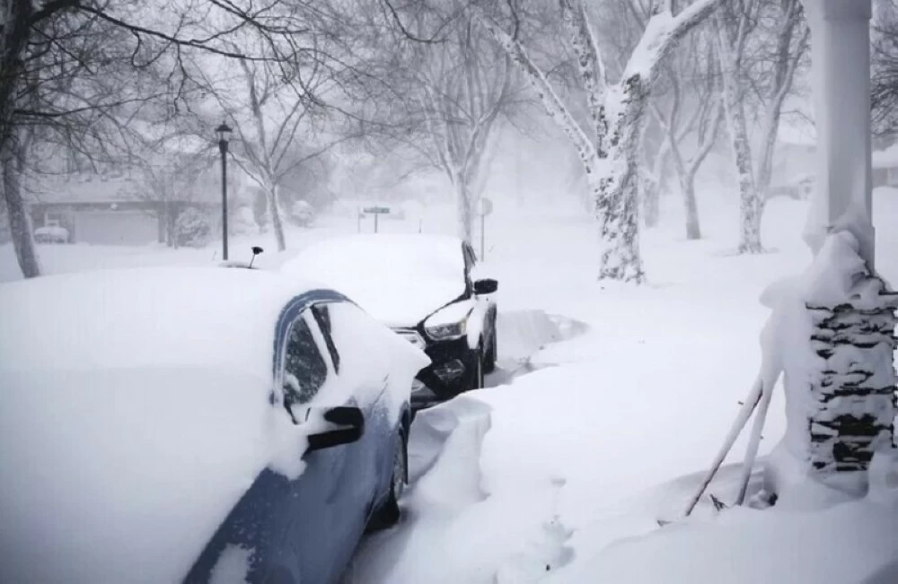 خطوط الكهرباء تضررت تحت وطأة الثلوج الكثيفة والرطبة.