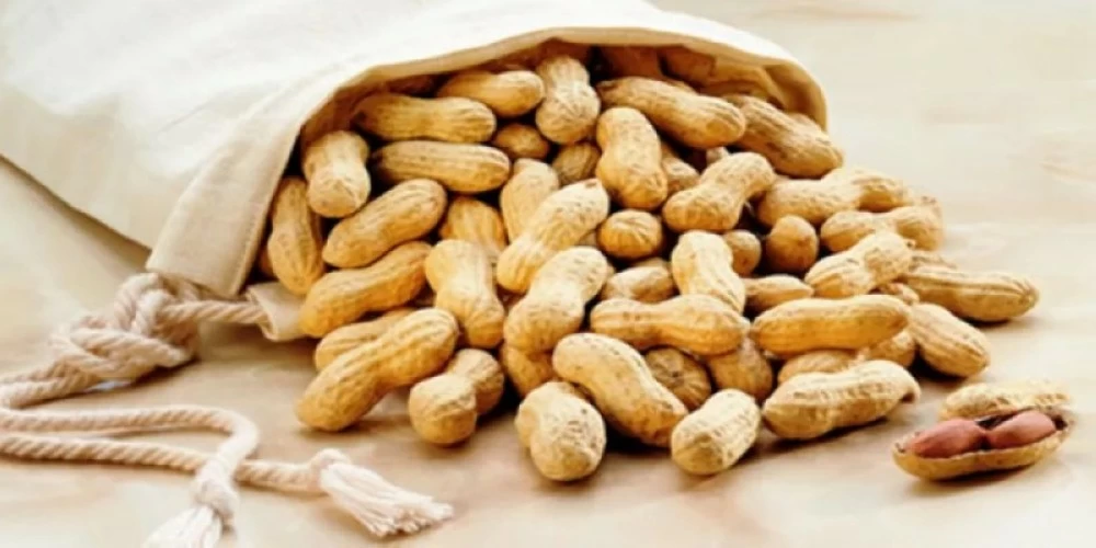 الفول السوداني
