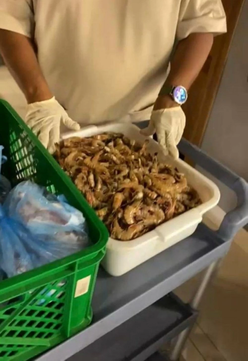 جانب من المضبوطات.