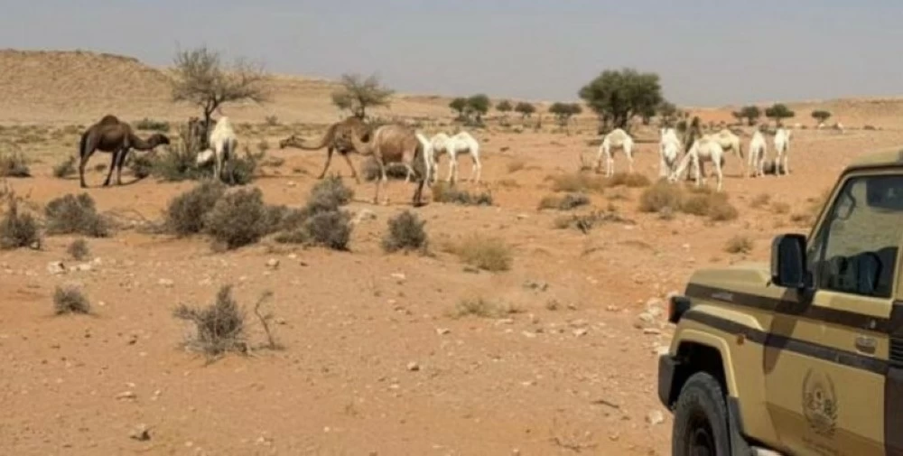 ضبط مواطن مخالف لنظام البيئة