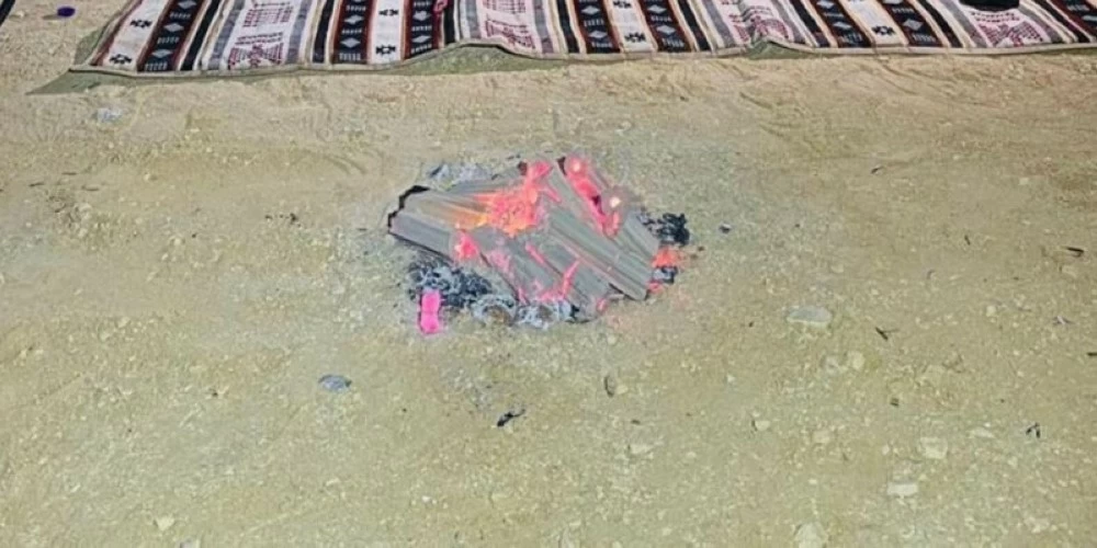 «الأمن البيئي» تضبط مخالفاً لنظام البيئة