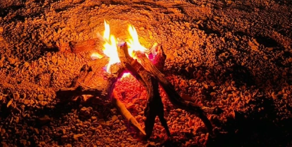 «الأمن البيئي» تضبط مواطناً مخالفاً لنظام البيئة