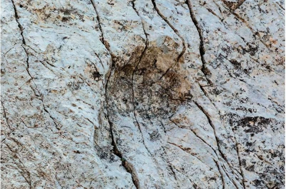 آثار أقدام عملاقة تمتد كيلومترات.. إيطاليا تعلن عن أكبر موقع ديناصورات في أوروبا