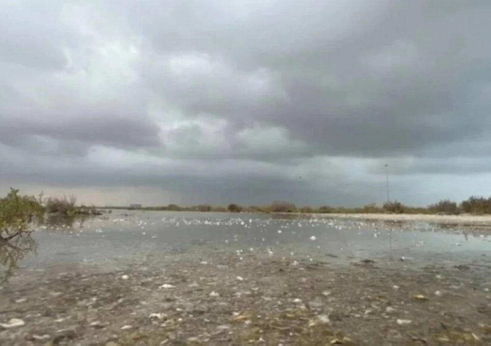 «البيئة»: 111 محطة ترصد هطول أمطار في 9 مناطق تتصدرها الحدود الشمالية بـ16.7 ملم