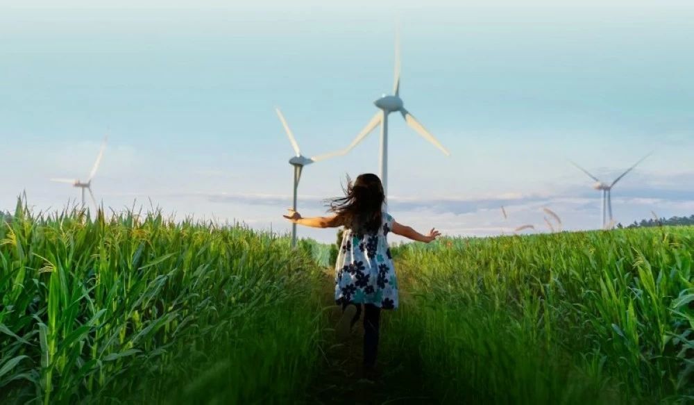 خريطة الأقاليم النباتية تُعد من أهم المشاريع الإستراتيجية التي يعمل عليها البرنامج.