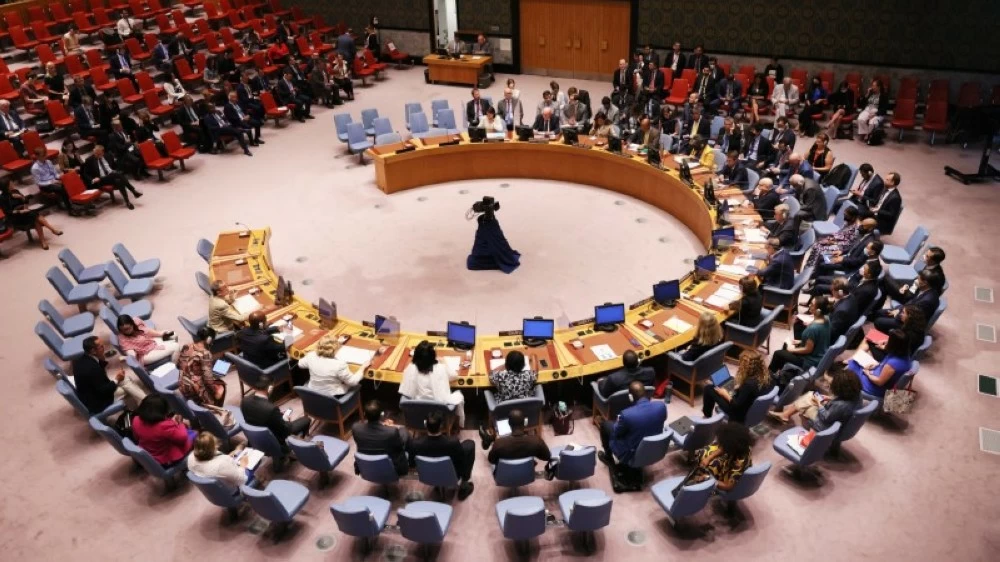 مجلس الأمن الدولي.