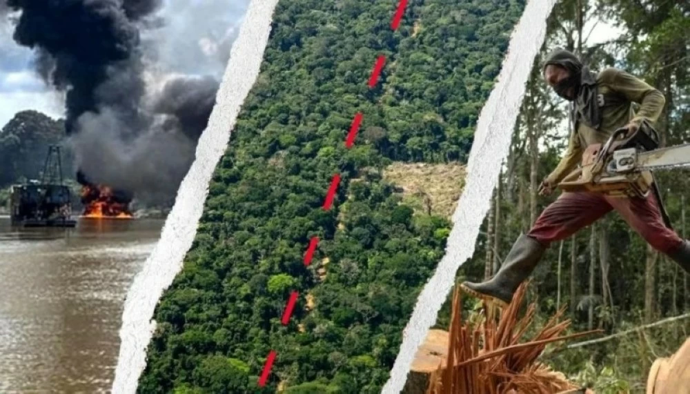 مافيا الكوكايين تلتهم «رئة العالم». للاطلاع على 