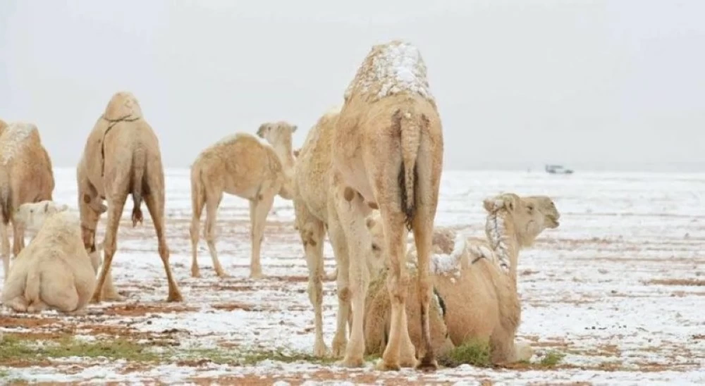 صورة أرشيفية لثلوج غطّت شمال المملكة خلال موجة برد سابقة. (واس)