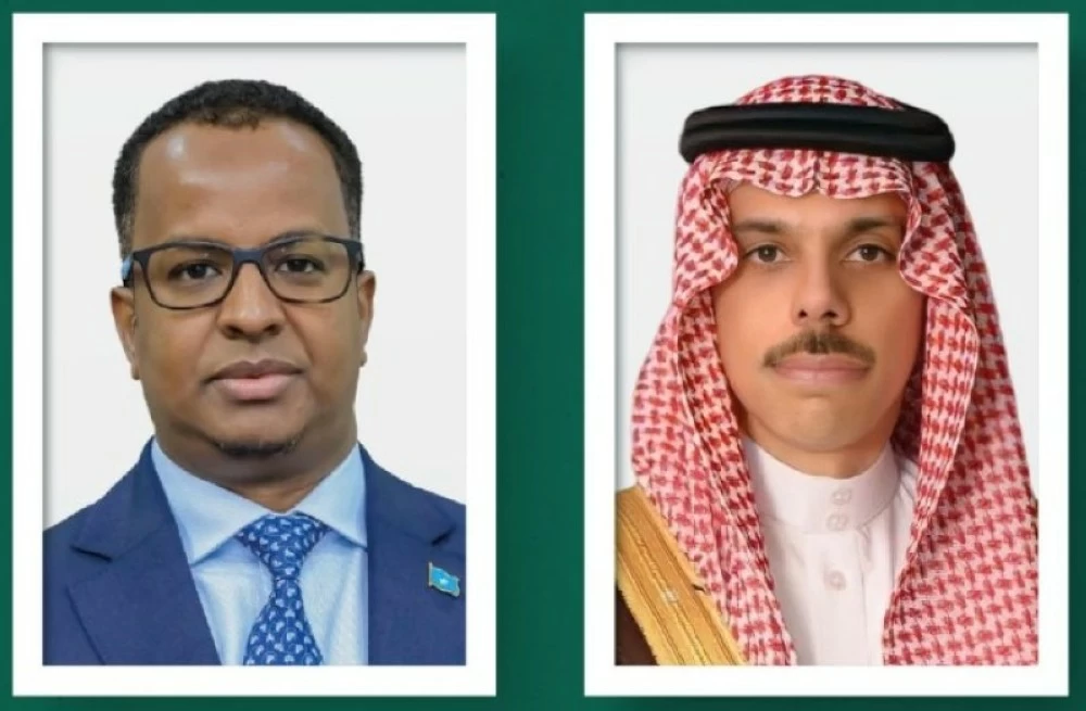 وزير الخارجية الأمير فيصل بن فرحان ووزير الشؤون الخارجية والتعاون الدولي بجمهورية الصومال الفيدرالية عبدالسلام عبدي علي