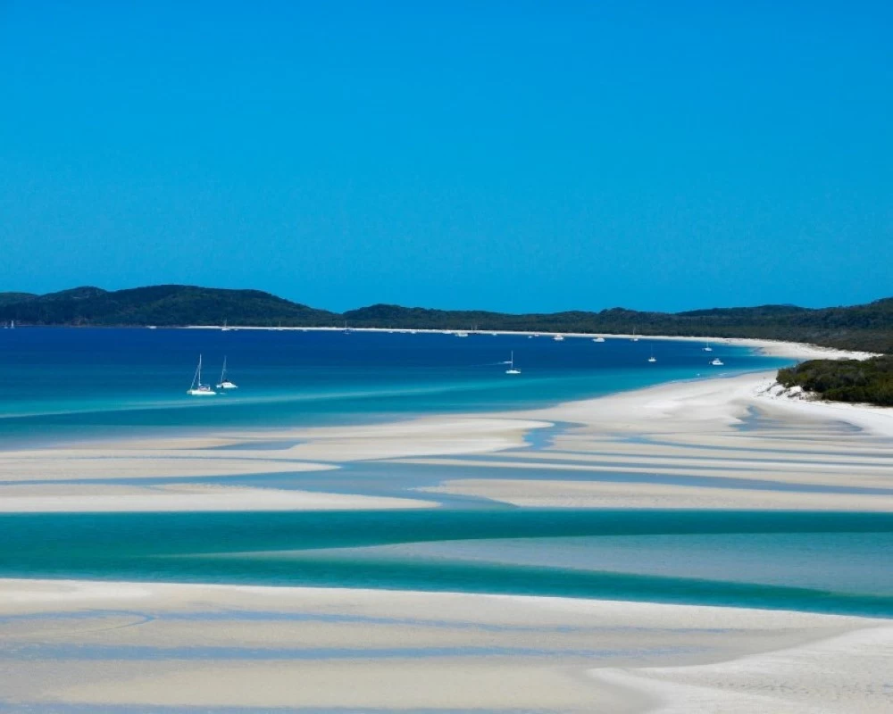 في رأس السنة.. رعب على الشواطئ الأسترالية.. 4 وفيات ومفقودان