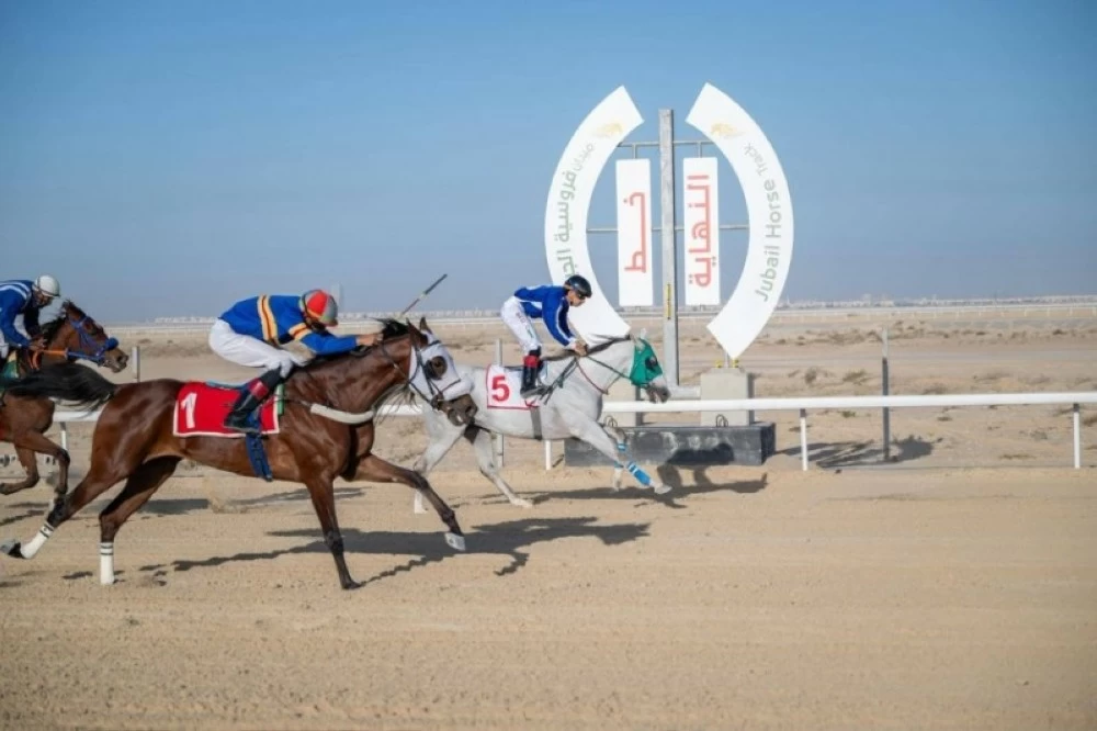 نخبة الجياد تتأهل من الجبيل إلى مضمار الملك عبدالعزيز