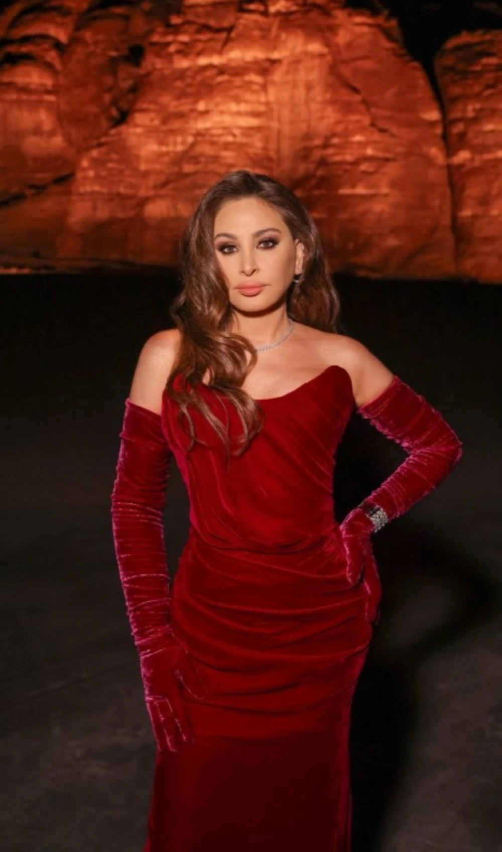 الإطلالة حافظت على صورة إليسا الأنيقة والمتزنة.