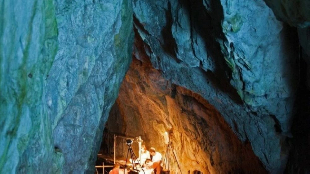 وجد الفريق البحثي داخل الغرفة المغلقة بقايا حيوانات مفترسة نادرة في سياق كهفي.