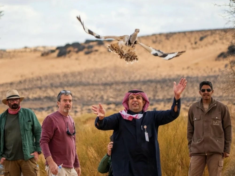 محمية الأمير محمد بن سلمان الملكية تُعيد توطين طائر الحبارى الآسيوي