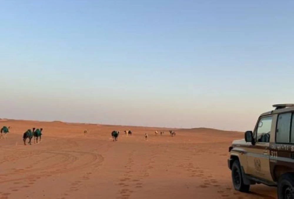 «الأمن البيئي» تضبط مواطناً مخالفاً لنظام البيئة لارتكابه مخالفة رعي في محمية