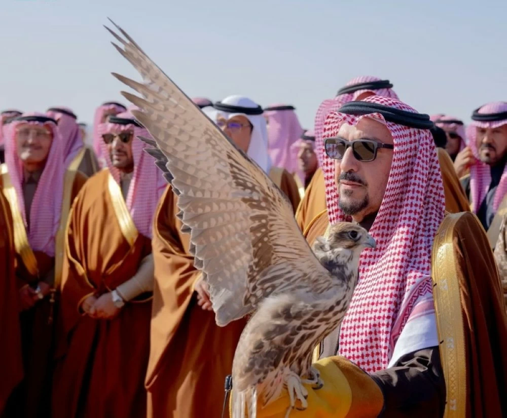 675 صقاراً عربياً يحيون تراث الصقور في مهرجان القصيم