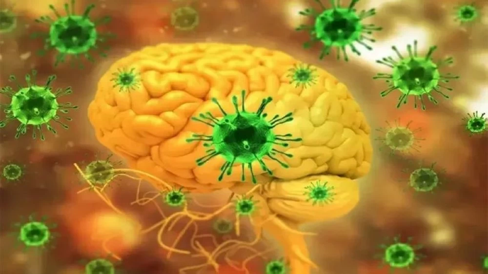 معدل وفيات المصابين بفايروس نيباه يراوح بين 40% و75%.