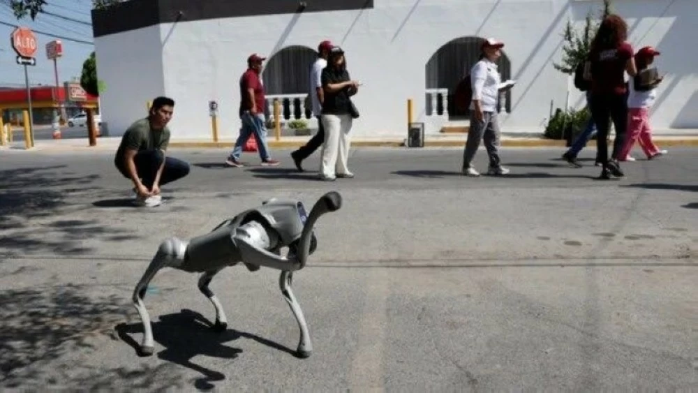 كيف تؤمّن المكسيك ملاعب مونديال 2026؟