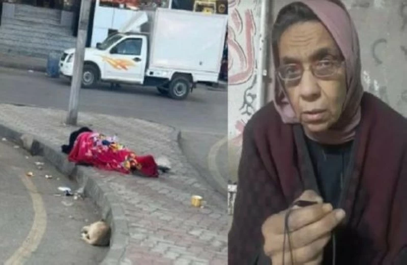 المهندسة ليلى إبراهيم حسن 