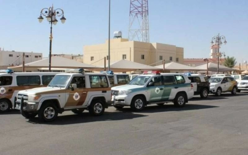 الحملات المشتركة