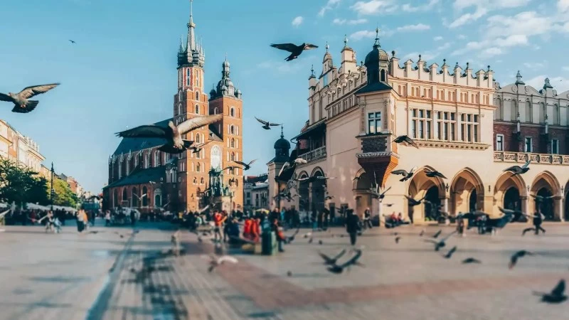 مدن بولندية أخرى اختارت حلولًا مبتكرة للتعايش مع الحياة البرية.