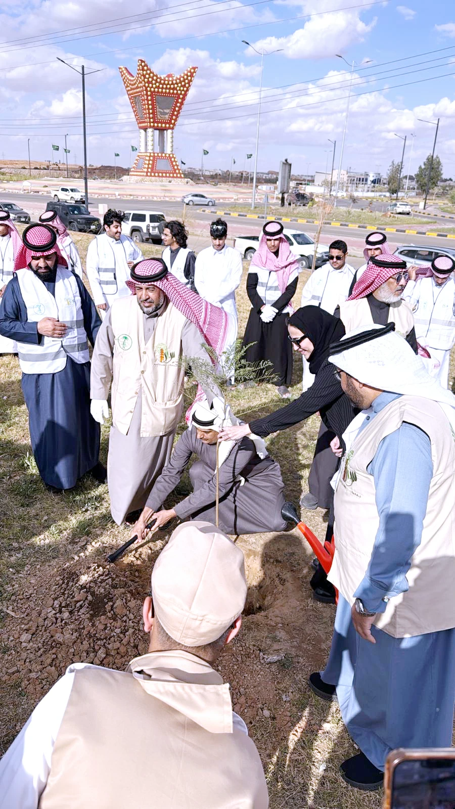 متطوعو الجوف يزرعون الأمل... ويظللون الطرق بالأشجار