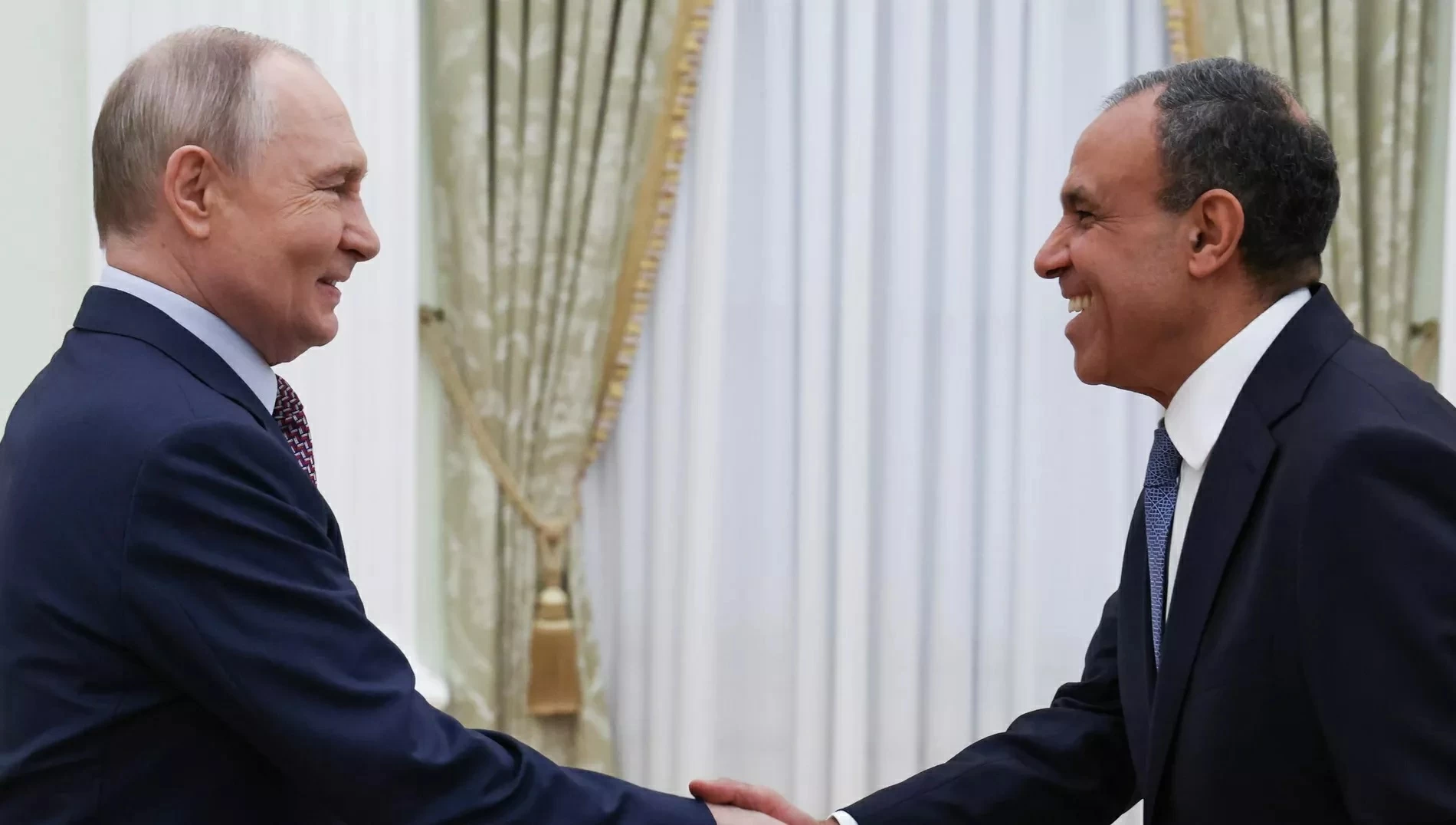 بوتين وعبدالعاطي