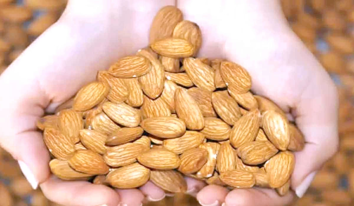 فوائد اللوز البجلي: