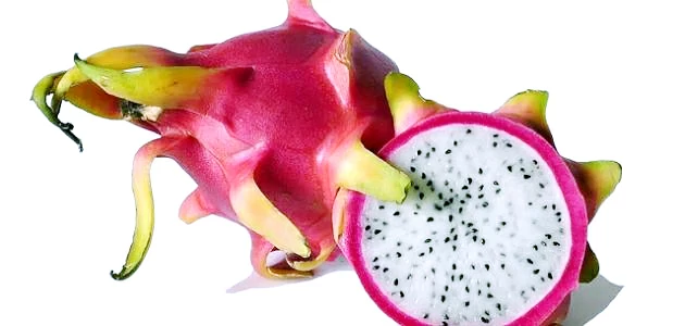 فوائد فاكهة التنين الأحمر: