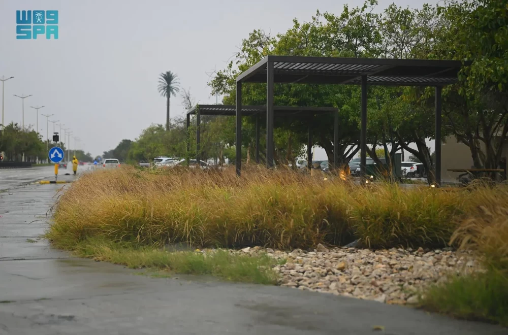 أمطار الشرقية.