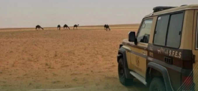 ‏‎ضبط مخالف لنظام البيئة في محمية الملك عبدالعزيز الملكية